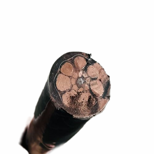 ɳ��������(�й�)�ٷ���վ -APP����