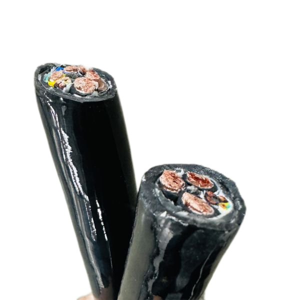 ɳ��������(�й�)�ٷ���վ -APP����