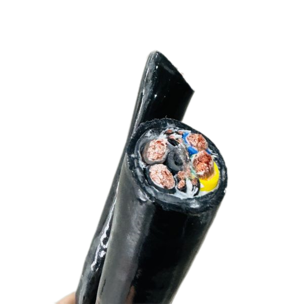 ɳ��������(�й�)�ٷ���վ -APP����