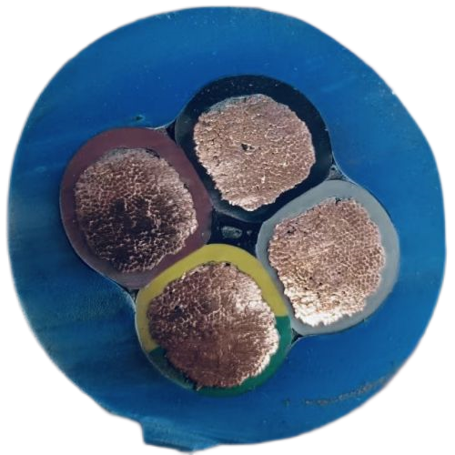 ɳ��������(�й�)�ٷ���վ -APP����