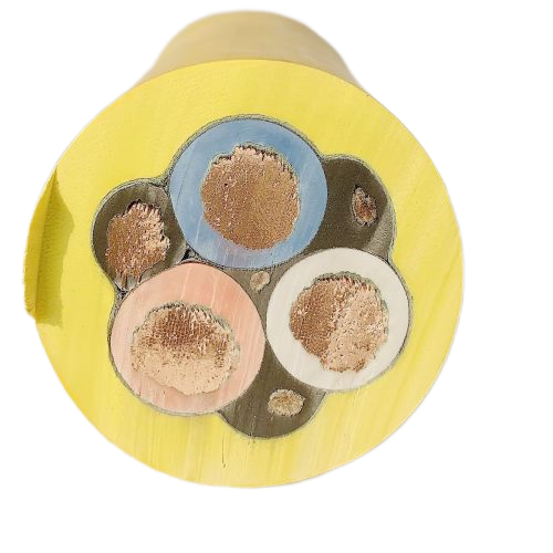 ɳ��������(�й�)�ٷ���վ -APP����