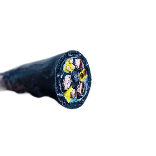 ɳ��������(�й�)�ٷ���վ -APP����