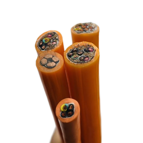 ɳ��������(�й�)�ٷ���վ -APP����