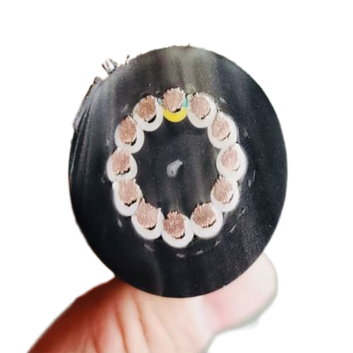 ɳ��������(�й�)�ٷ���վ -APP����