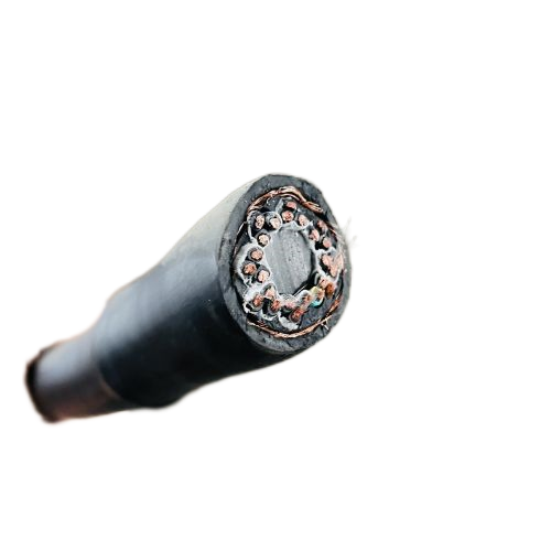 ɳ��������(�й�)�ٷ���վ -APP����