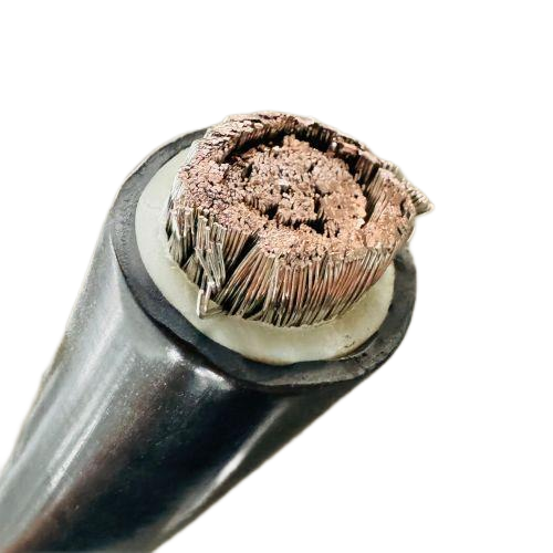 ɳ��������(�й�)�ٷ���վ -APP����