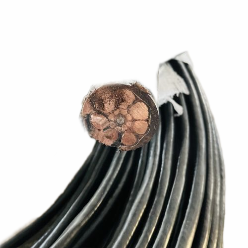 ɳ��������(�й�)�ٷ���վ -APP����