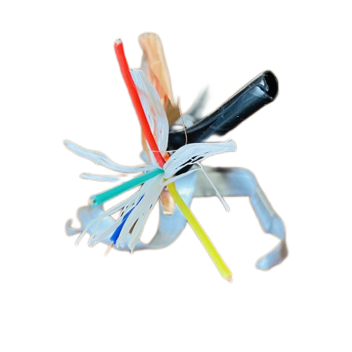 ɳ��������(�й�)�ٷ���վ -APP����