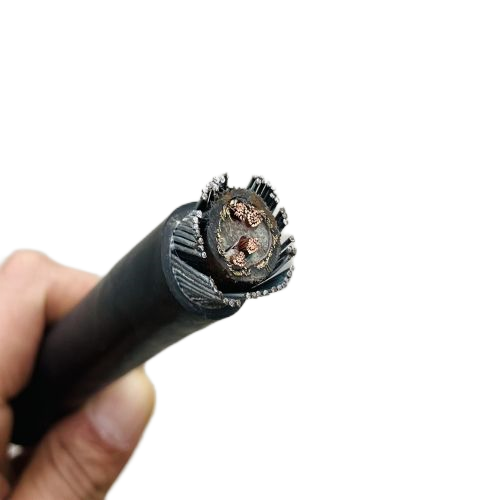 ɳ��������(�й�)�ٷ���վ -APP����