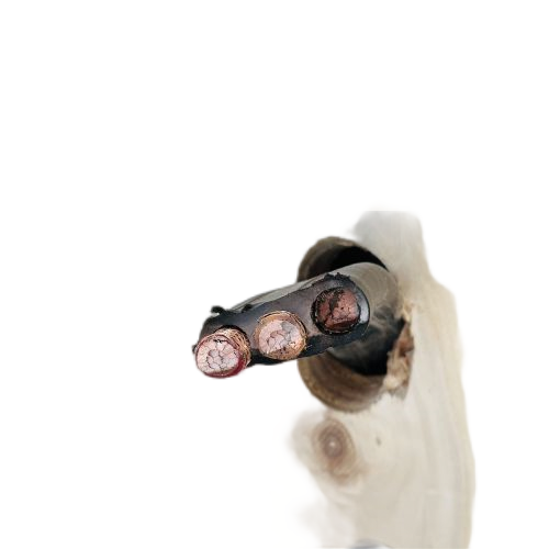 ɳ��������(�й�)�ٷ���վ -APP����