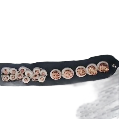 ɳ��������(�й�)�ٷ���վ -APP����