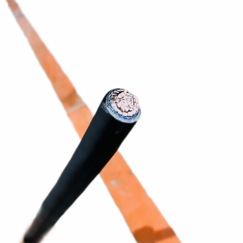 ɳ��������(�й�)�ٷ���վ -APP����