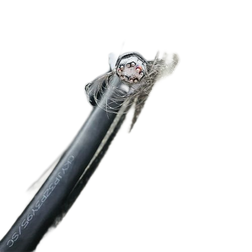 ɳ��������(�й�)�ٷ���վ -APP����