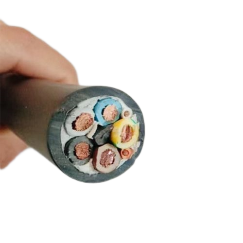 ɳ��������(�й�)�ٷ���վ -APP����