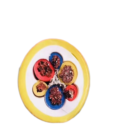 ɳ��������(�й�)�ٷ���վ -APP����