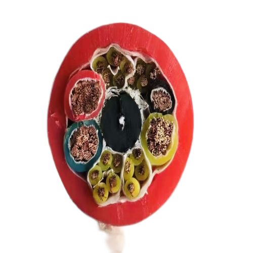 ɳ��������(�й�)�ٷ���վ -APP����