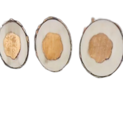 ɳ��������(�й�)�ٷ���վ -APP����