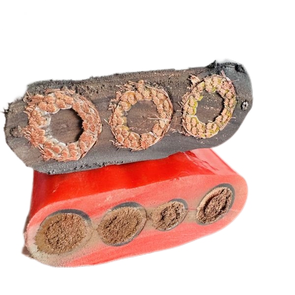 ɳ��������(�й�)�ٷ���վ -APP����