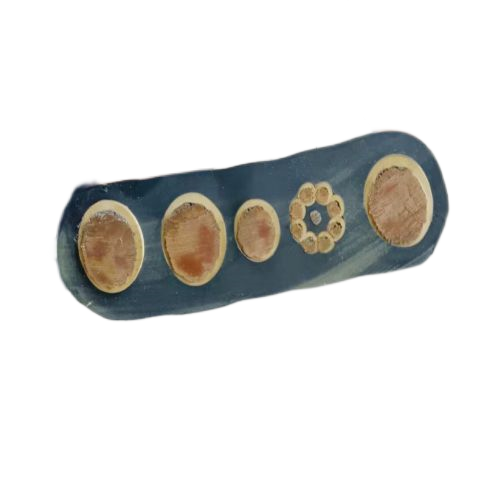 ɳ��������(�й�)�ٷ���վ -APP����