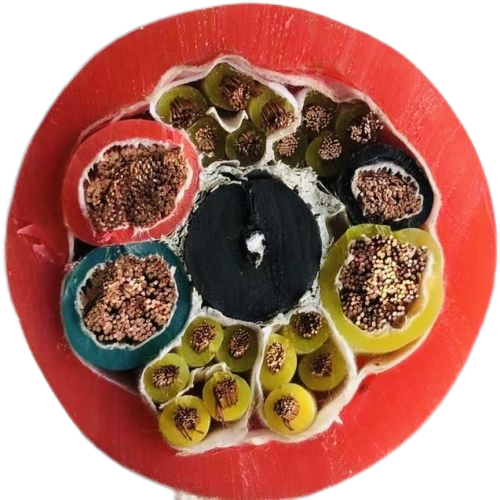 ɳ��������(�й�)�ٷ���վ -APP����