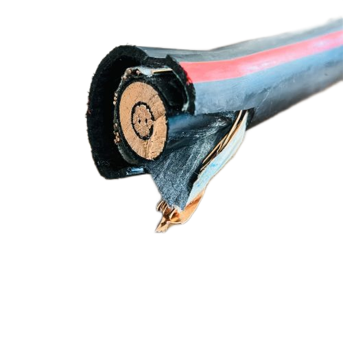 ɳ��������(�й�)�ٷ���վ -APP����