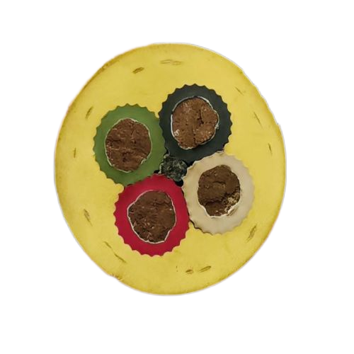 ɳ��������(�й�)�ٷ���վ -APP����