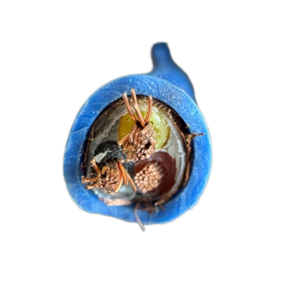 ɳ��������(�й�)�ٷ���վ -APP����