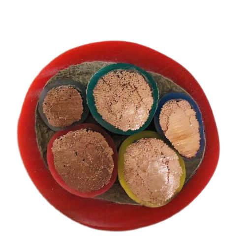 ɳ��������(�й�)�ٷ���վ -APP����