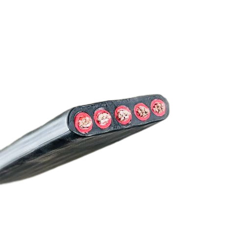 ɳ��������(�й�)�ٷ���վ -APP����