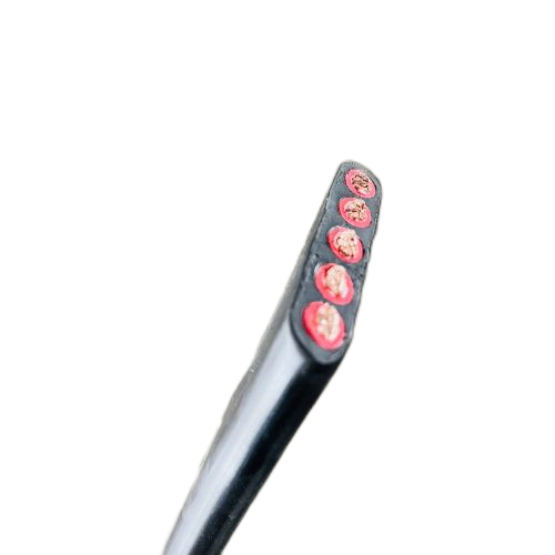 ɳ��������(�й�)�ٷ���վ -APP����