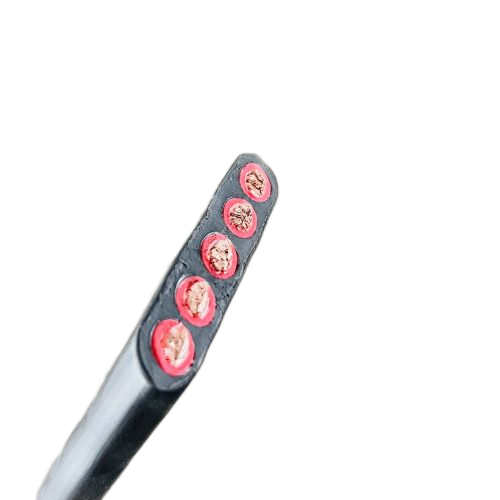 ɳ��������(�й�)�ٷ���վ -APP����