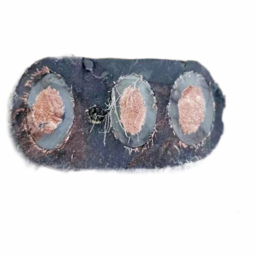 ɳ��������(�й�)�ٷ���վ -APP����