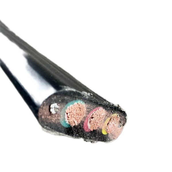 ɳ��������(�й�)�ٷ���վ -APP����