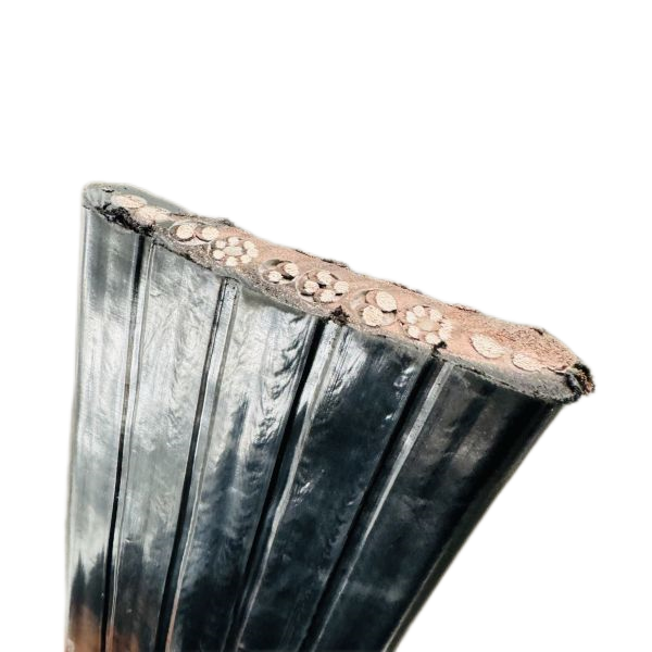 ɳ��������(�й�)�ٷ���վ -APP����