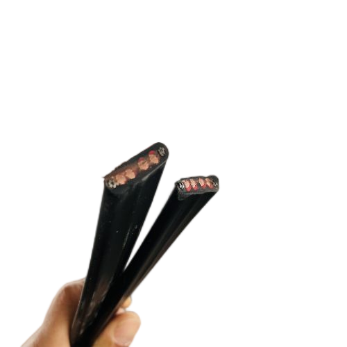 ɳ��������(�й�)�ٷ���վ -APP����