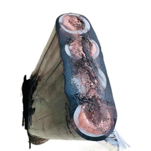 ɳ��������(�й�)�ٷ���վ -APP����