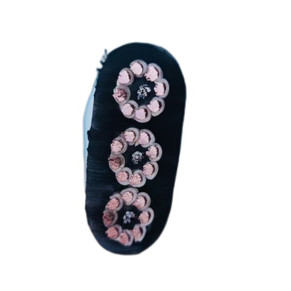 ɳ��������(�й�)�ٷ���վ -APP����