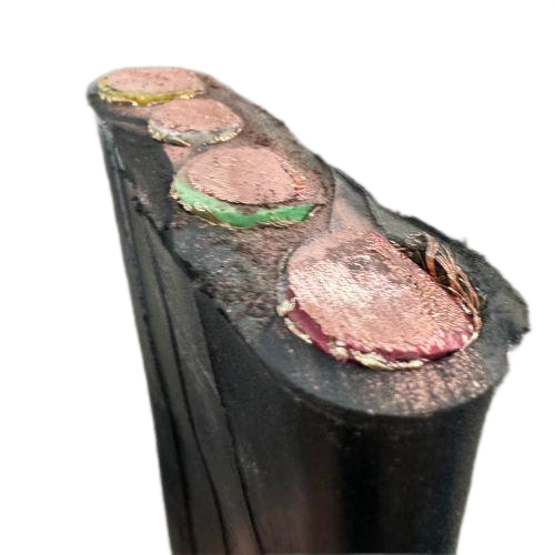 ɳ��������(�й�)�ٷ���վ -APP����