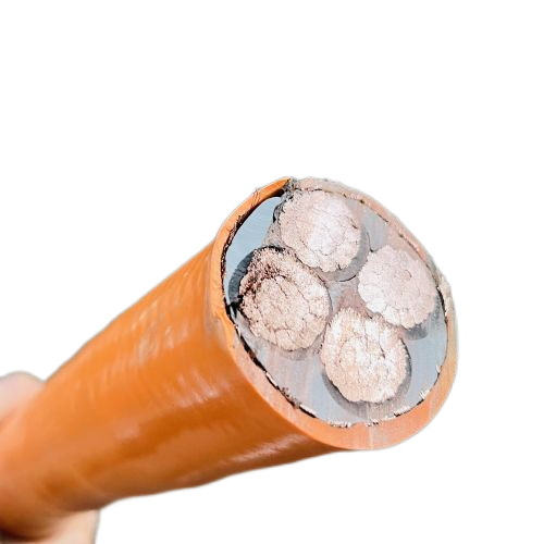 ɳ��������(�й�)�ٷ���վ -APP����