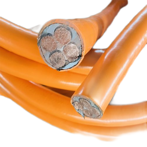 ɳ��������(�й�)�ٷ���վ -APP����