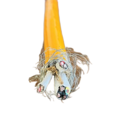 ɳ��������(�й�)�ٷ���վ -APP����