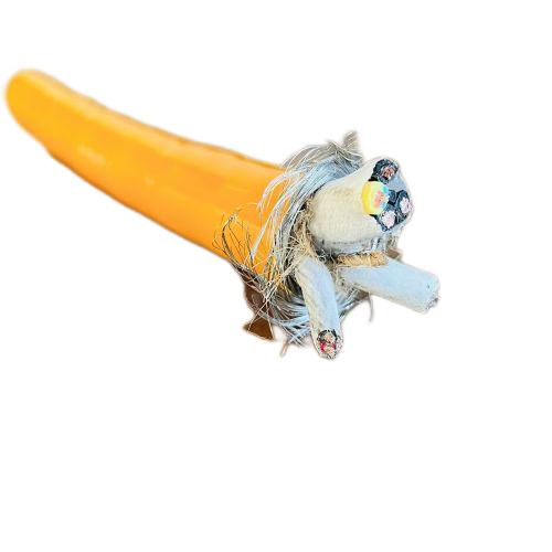 ɳ��������(�й�)�ٷ���վ -APP����