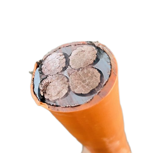 ɳ��������(�й�)�ٷ���վ -APP����