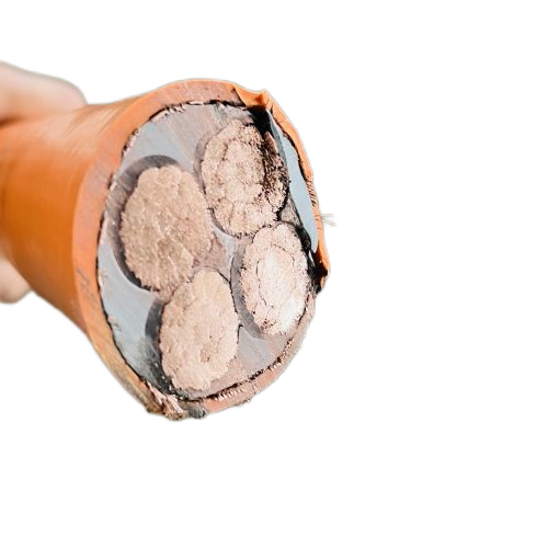 ɳ��������(�й�)�ٷ���վ -APP����