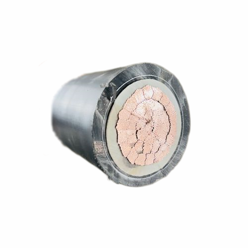 ɳ��������(�й�)�ٷ���վ -APP����