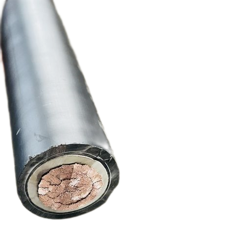 ɳ��������(�й�)�ٷ���վ -APP����