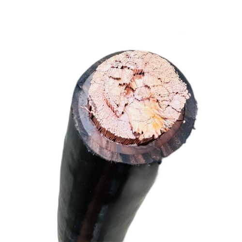 ɳ��������(�й�)�ٷ���վ -APP����