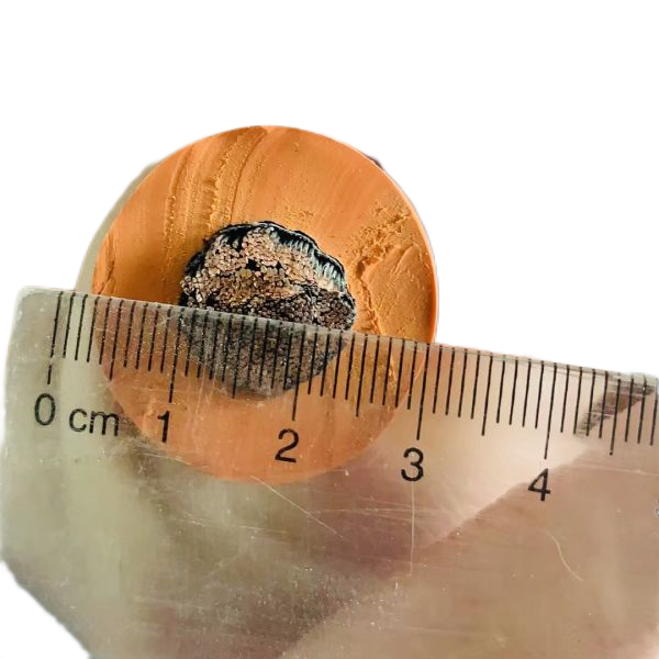 ɳ��������(�й�)�ٷ���վ -APP����