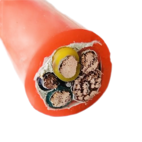 ɳ��������(�й�)�ٷ���վ -APP����