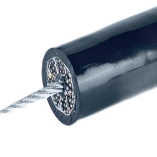 ɳ��������(�й�)�ٷ���վ -APP����